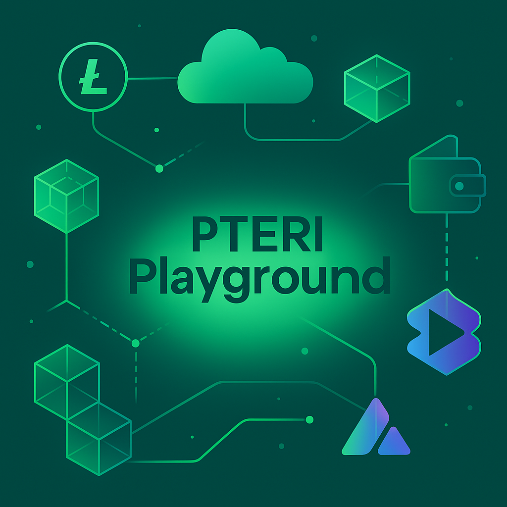 PTERI Playground